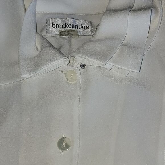 Breckenridge Ivory Sheer Button Down Long Sleeve Collared Sz 10 Dressy Blouse - Picture 6 of 9